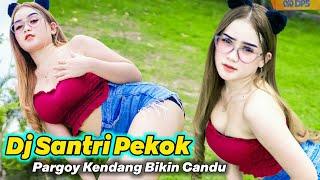 Dj Santri Pekok - Pargoy Kendang Ngeslow