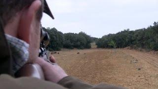 The Shooting Show -- French wild boar hunt and Richard Ali interviewed