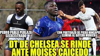 DT DE CHELSEA SE RINDE ANTE MOISES CAICEDO! PEDRO PABLO PERLAZASECU35TRAD0 PIERO ELIMINA LA BAYER