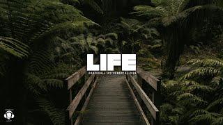 [FREE] Dancehall Riddim Instrumental 2024 "Life"