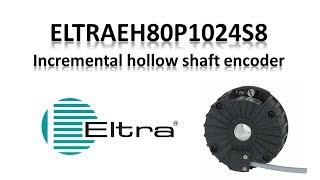 Eltra Incremental encoder EH80P1024S8 / ELTRA ENCODERS / Eltra Trade
