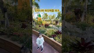 오키나와 파인애플파크 #오키나와 #13개월아기 #파인애플파크 #cute #baby