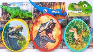 Unboxing Review Jurassic World | Surprise Giant Dinosaur Egg, Giganotosaurus , T-Rex Captain | ASMR