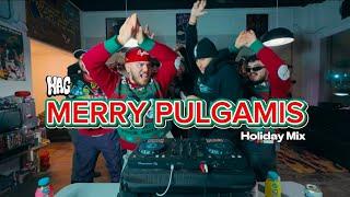 Merry Pulgamis (HAG MIX)