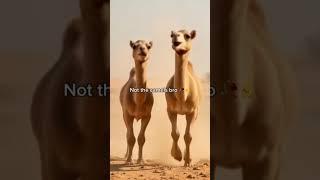 YT GIVE ME A VIRAL VID BRO #dance #unbreakablebrooks #music #memes #fulltilt #fridayfaceoff #big