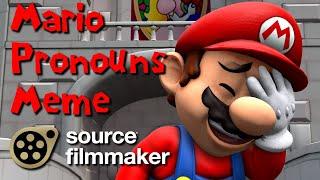 [SFM] Mario Pronouns Meme