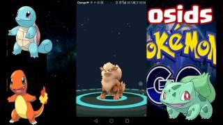 pokemon go en español, errores más frecuentes