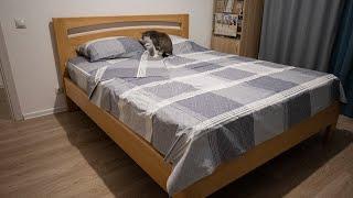 Кровать из сосновых досок своими руками | DIY Bed