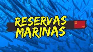   BUCEAR en las 3️⃣ RESERVAS MARINAS de la Region de MURCIA (Subtitulado)