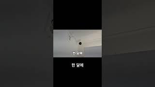 저렴한 CCTV 설치 방법