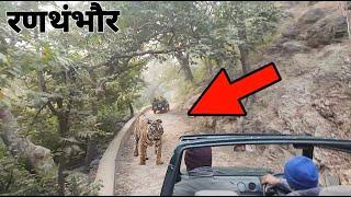 Ranthambore National Park | Zone 2 & Zone 3 | Jungle Safari | Wildlife #ranthambore