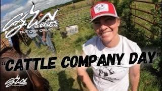 Cattle Company Day - Behind The Chutes #123