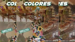 FREE AFROBEAT/DANCEHALL LOOPKIT 2022 - COLORES | WIZKID, J BALVIN, REMA, TEMS, BAD BUNNY