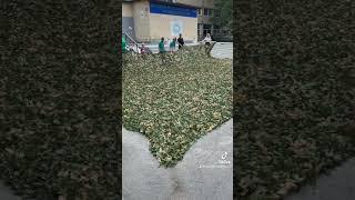 Маскувальна сітка сплетена з любовʼю