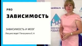 Лечение зависимости. Тема "Зависимость и мозг" от клинического психолога клиники "Вершина".