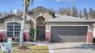 31423 Wrencrest Drive, Wesley Chapel, FL 33543