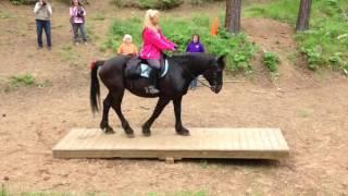 ETS obstacle clinic: Dr. Renee Gray & Lady Raquel riding across the teeter totter