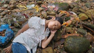 Orphan Life - Sleeping in the forest is attacked by crabs - Harvest crabs go to the market sell