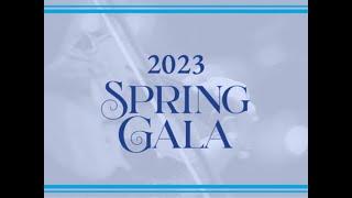 Las Vegas Philharmonic 2023 Spring Gala Sponsors