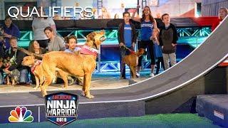 Adorable Pups Climb the Doggy Warped Wall - American Ninja Warrior Atlanta City Qualifiers 2019