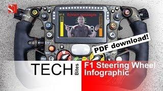 2014 F1 Steering Wheel Infographic - Sauber F1 Team