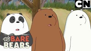 Los osos a veces toman riesgos innecesarios | Escandalosos | Cartoon Network