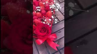 باقة فواكه