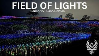 Sensorio Field of Lights