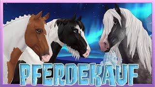 Wir KAUFEN den neuen TINKER  Star Stable Pferdekauf [SSO]