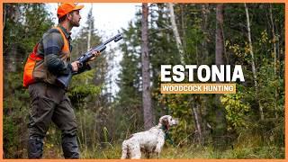 Woodcock Hunting in ESTONIA The REAL Paradise for bird hunting!