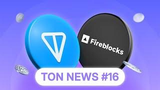 $5M Memelandia Grants & Streak Rewards on Telegram! | TON News #16