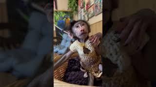СМОТРЕТЬ ВСЕМ! Гарантированная порция умиления