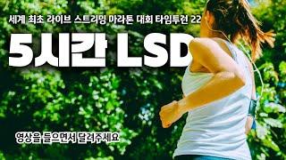 민티런 타임투런 22 - LSD (5시간 장거리 트레이닝)