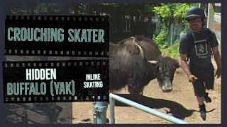 Inline Skating - Failed Zoo Visit Turns to Awesome Roll Through Peterborough, ON