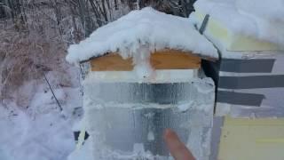 Ice crystals from hive humidity -14 F in Alaska. Over wintering honeybees.