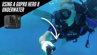 Using a GoPro Hero 8 Underwater