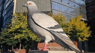  Live NYC Walk to Work: PIGEON! West Village, Kips Bay in Manhattan - Oct 21, 2024