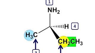 Organic Chemistry - Assigning Priority