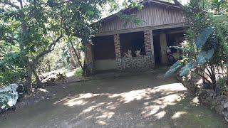 Rumah Di Tengah Hutan Di PedalamanJawa tengah