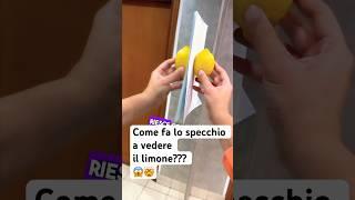 Come fa il limone a riflettersi? #scienza #fisica #stem #perte #shorts #divulgazione #esperimenti