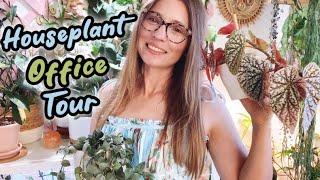 Houseplant Tour Summer 2023 | Part 5: Plants in My Office | Lots of Hoyas and Syngoniums plus more!