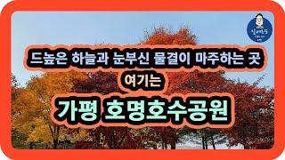 [부부가 함께하는 여행 5] 드높은 하늘과 눈부신 물결이 마주하는 곳!! 여기는 호명호수공원(Gapyeong Lake Park)입니다 / 서울근교 단풍명소 / 드론 4K영상