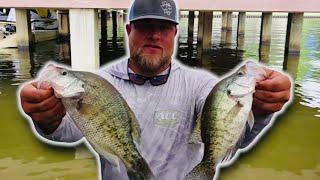 WE CAUGHT OVER 50 CRAPPIE FROM THIS DOCK‼️ CRAPPIE FISHING WITH A JIG‼️