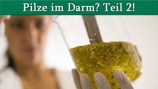 Diagnostik bei Pilzbelastung im Darm? Candida und Schimmelpilze, Teil 2! | Dr. med. Dirk Wiechert