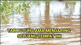 Tak butuh lama menjaring ikan seluang dan sepat langsung banyak dapat