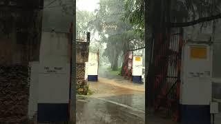 It's raining #rainsounds #rain #shillong #pms