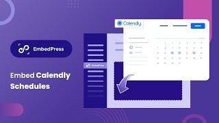 How To Embed Calendly In WordPress?