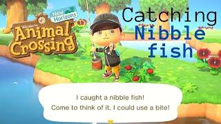 Catching Nibble Fish - Animal Crossing New Horizons