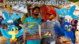 Lalukhet Birds Market 2-3-25 Karachi Part 2 Latest Updates | all kinds Of Birds at Birds Market