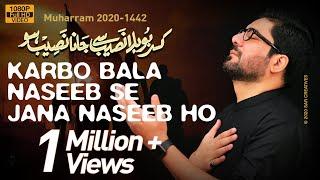 Karbobala Naseeb Se Jana Naseeb Ho | Mir Hasan Mir Nohay 2020 | New Noha 2020 | Arzoo e Karbala